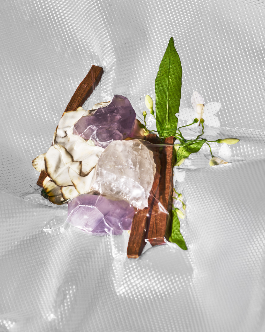 Perfume Discovery Set