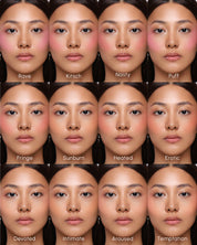 Powder Blush Insert