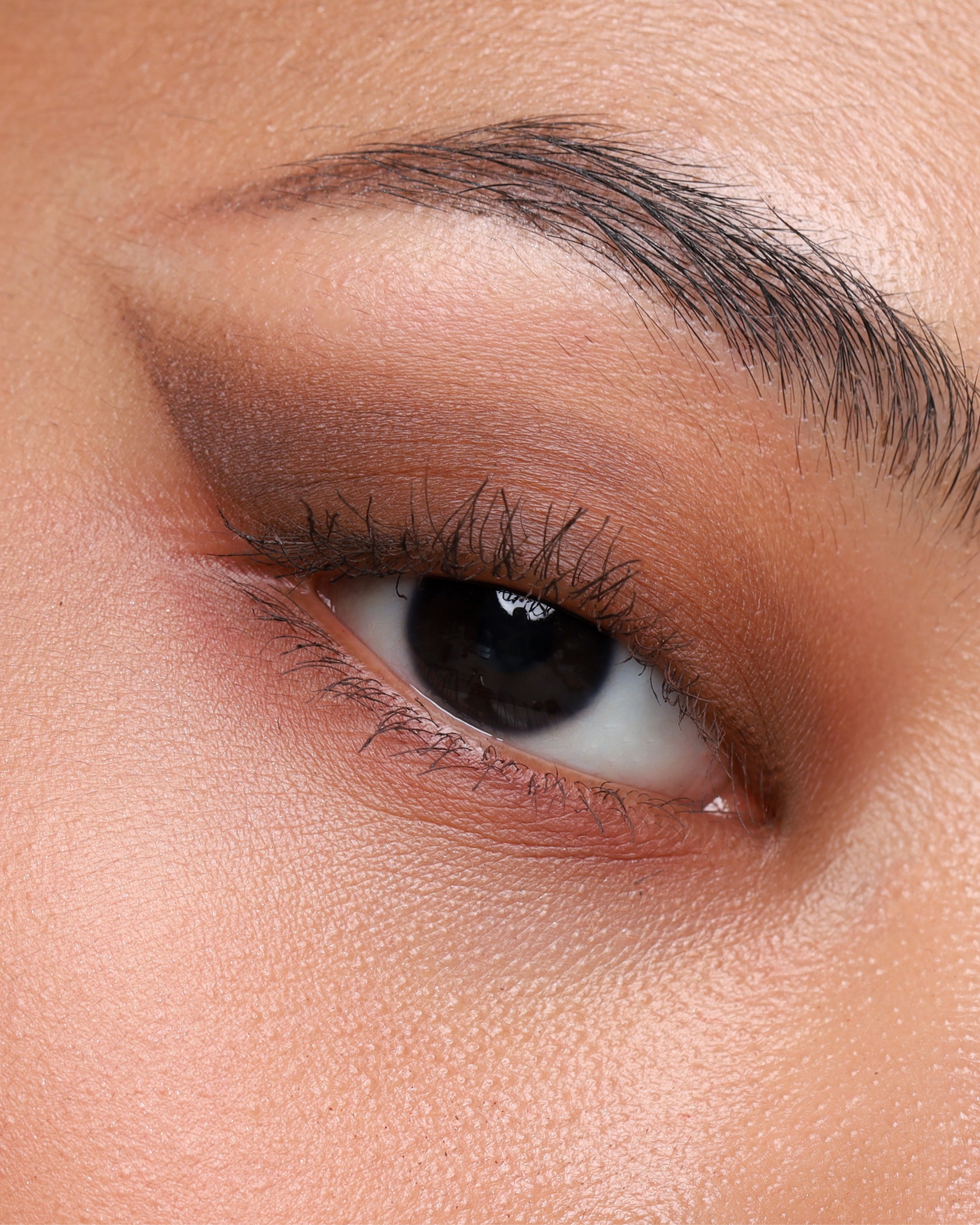 PRESSED_SHADOW_SINGLE_MATTE_CAROB_2.jpg