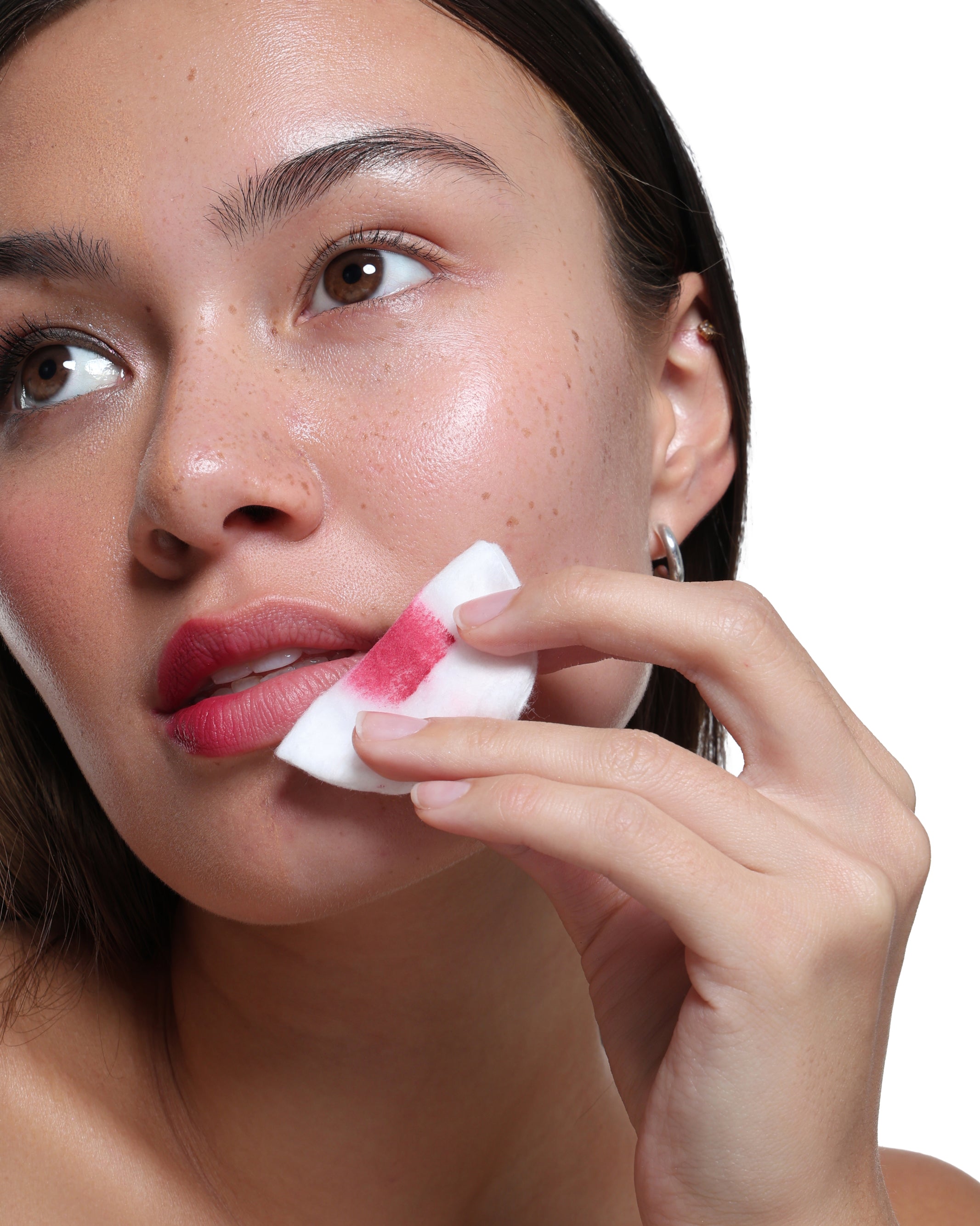 BI-PHASE_MAKEUP_MELTER_Slide_2.jpg