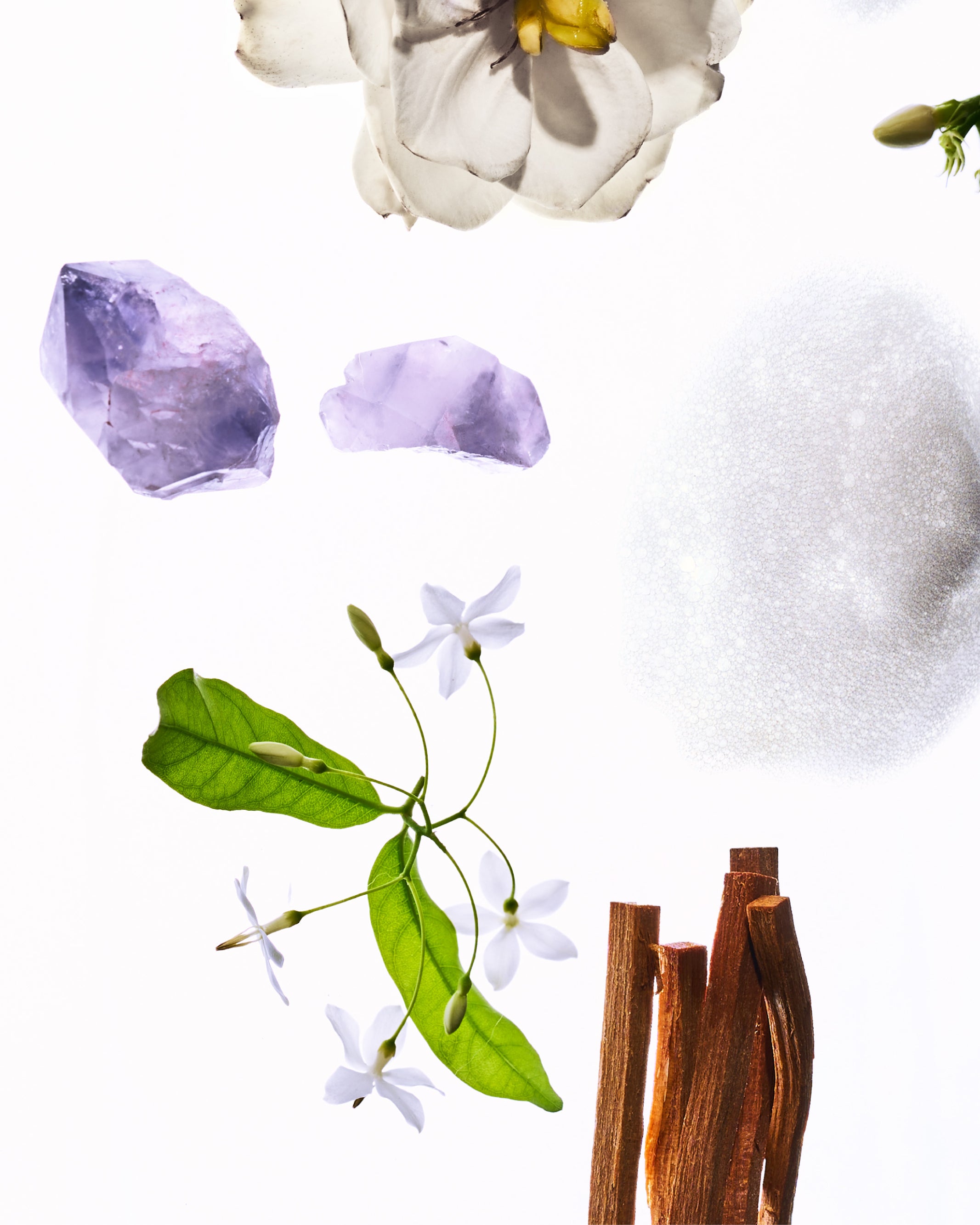 EAU_DE_PARFUM_492_15ML_CAROUSEL-4