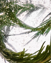 EAU_DE_PARFUM_BODY_030_CAROUSEL-4