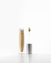 Fluid Flex Concealer