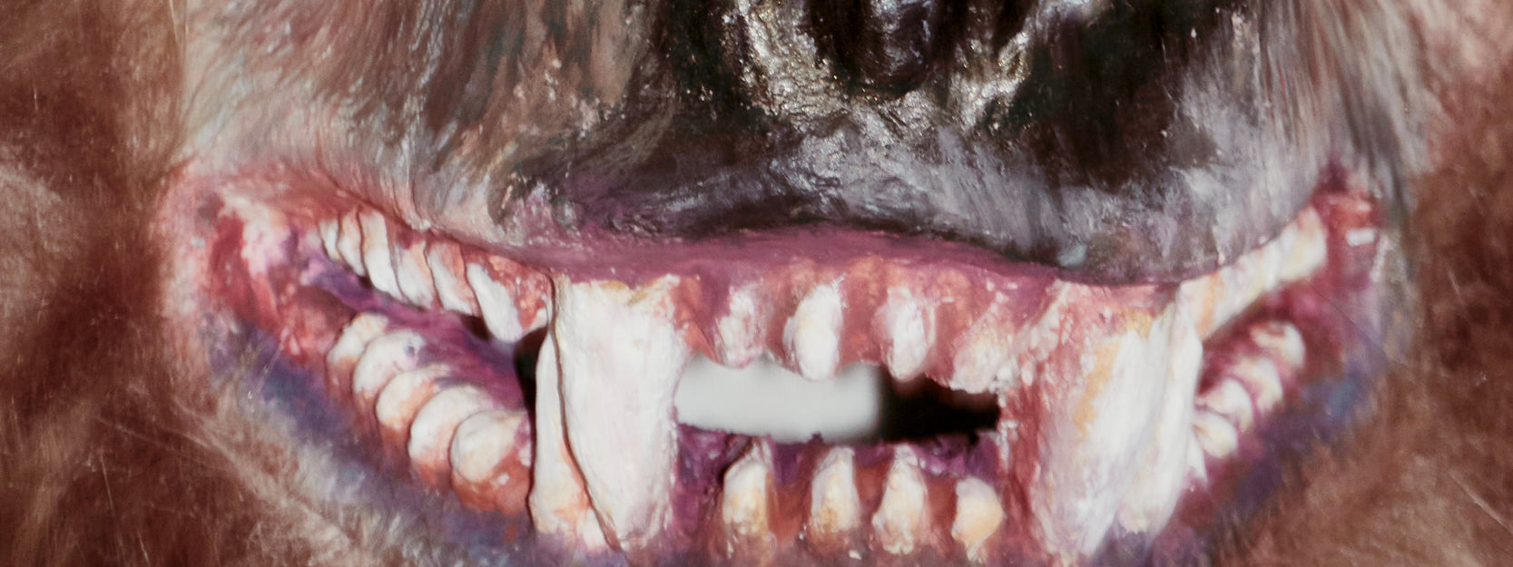 HOMEPAGE-MONSTER_MOBILE_SECTION_3.jpg