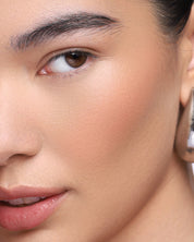 Powder Blush Insert