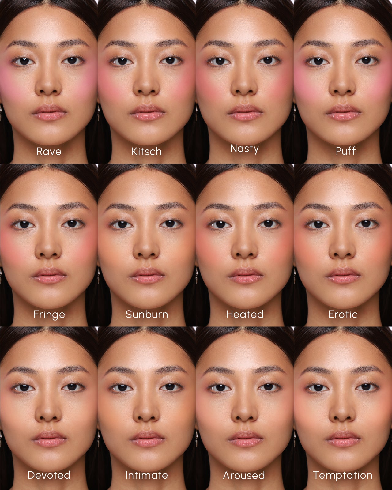 Powder Blush Insert