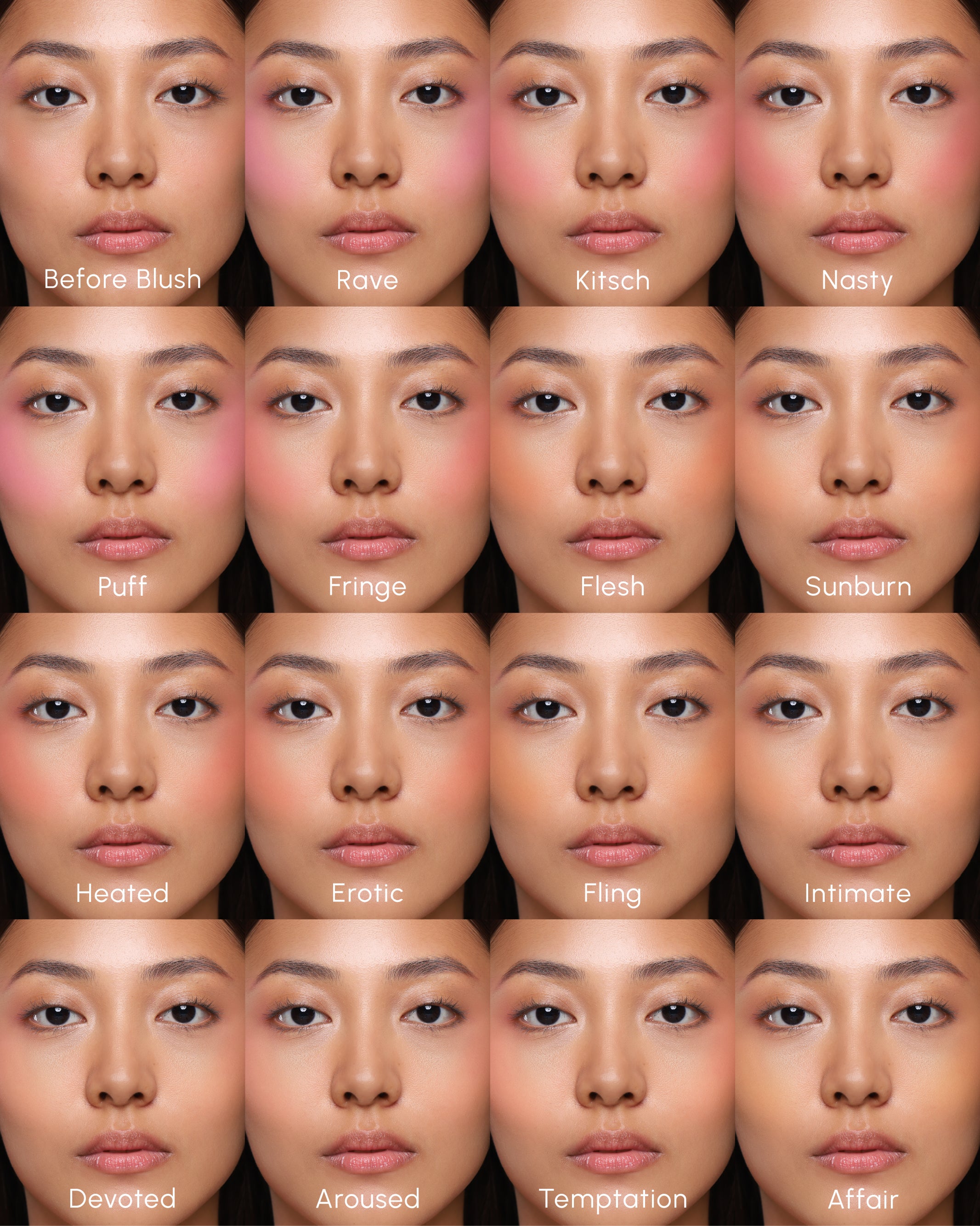 Powder Blush Insert