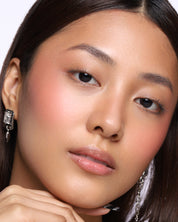 Powder Blush Insert