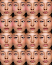 Powder Blush Insert