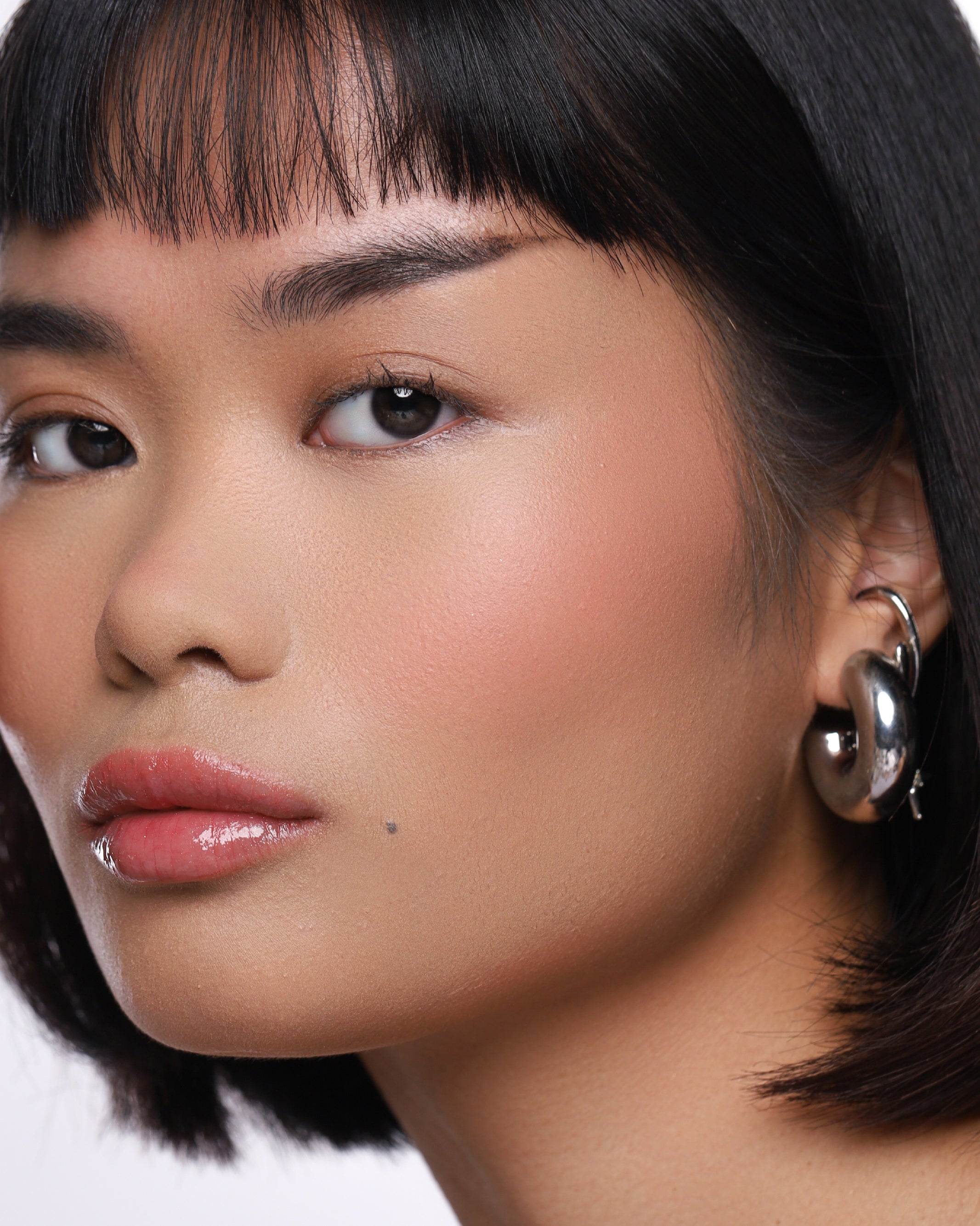 Powder Blush Insert