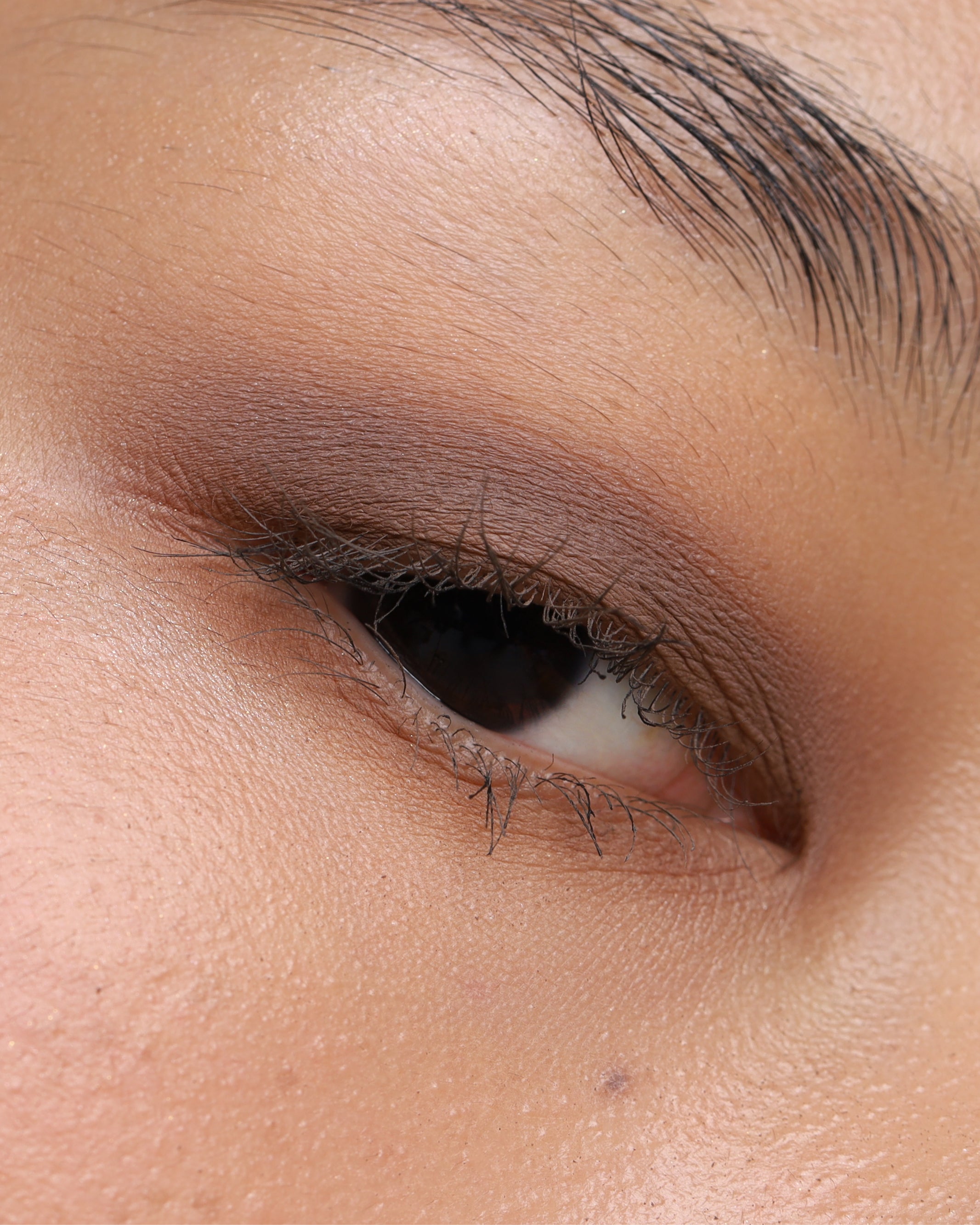 Pressed Shadow Single In Matte