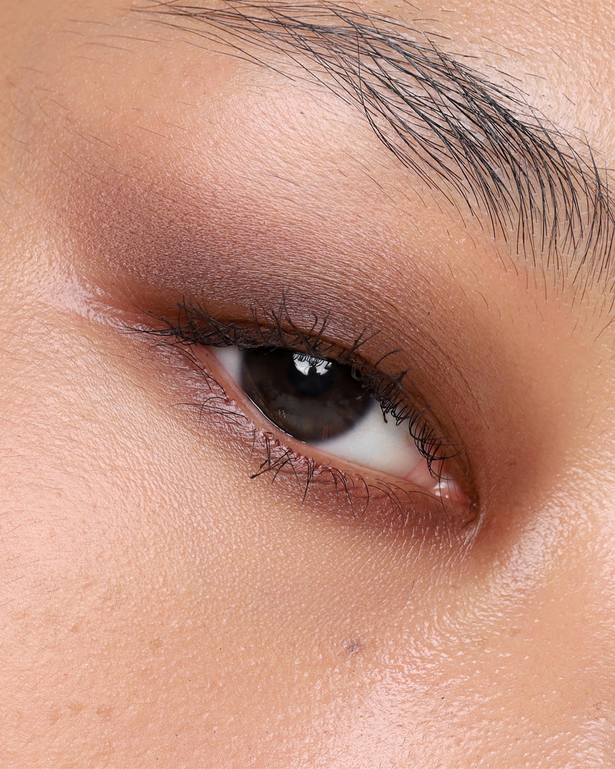 PRESSED_SHADOW_SINGLE_MATTE_MOLASSES_2.jpg