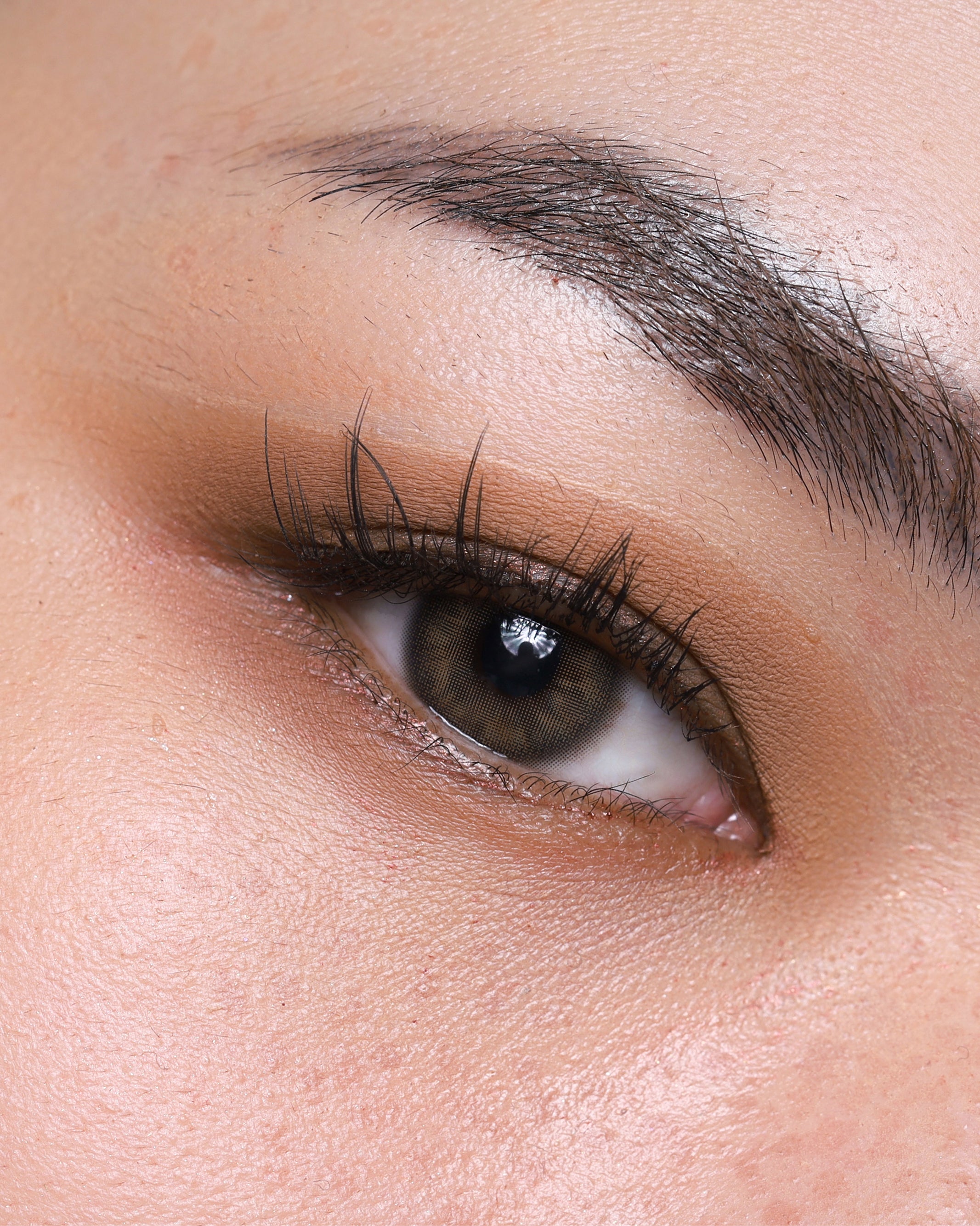 Pressed Shadow Single In Matte
