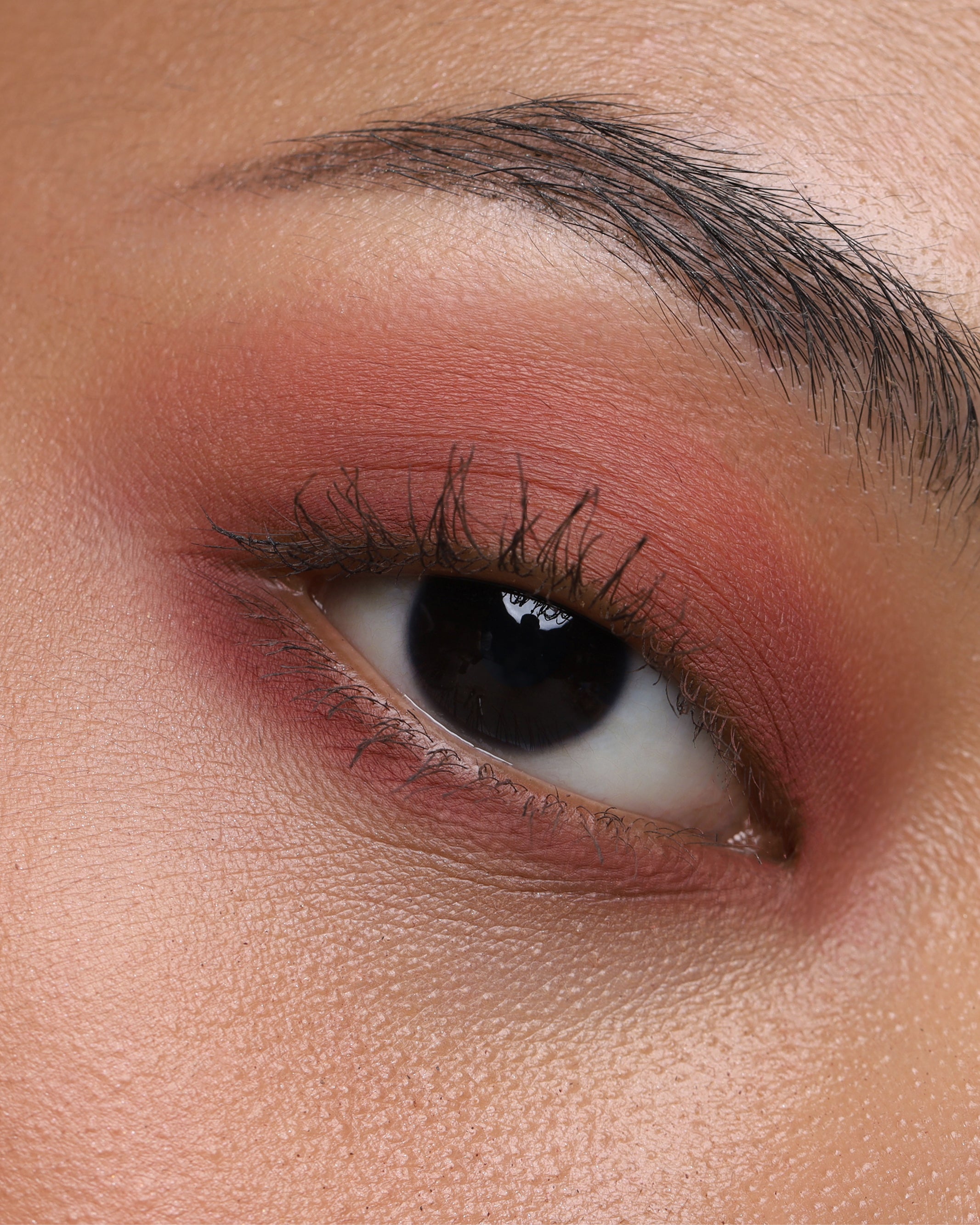 PRESSED_SHADOW_SINGLE_MATTE_ROSEBUD_2.jpg