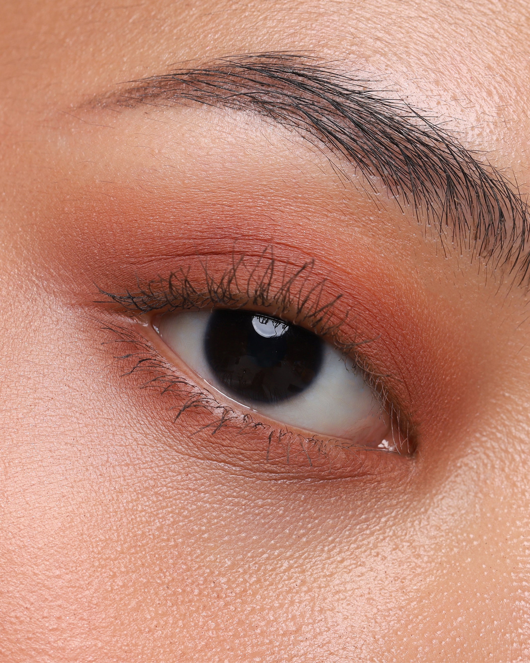 Pressed Shadow Single In Matte