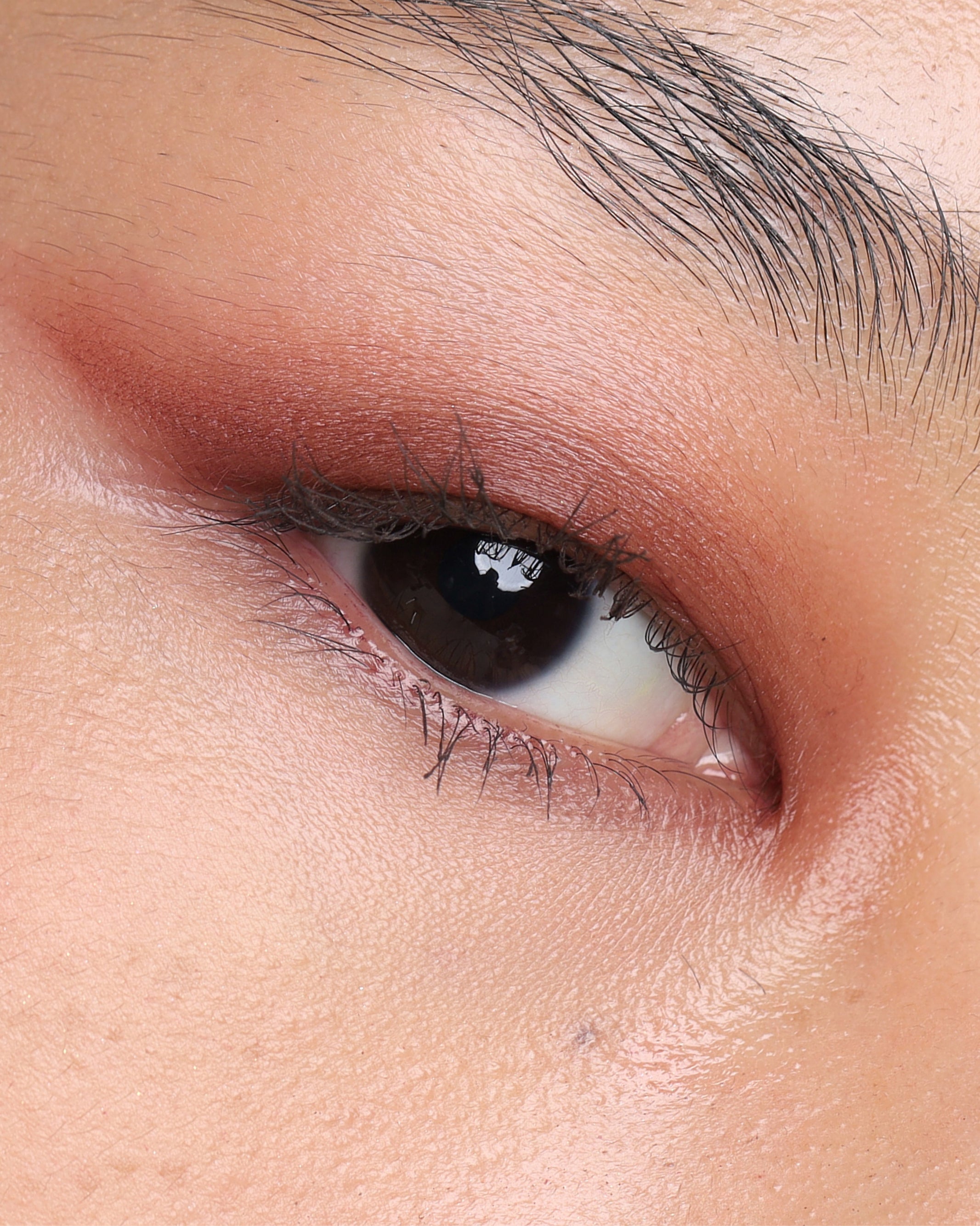 PRESSED_SHADOW_SINGLE_MATTE_SPICE_2.jpg