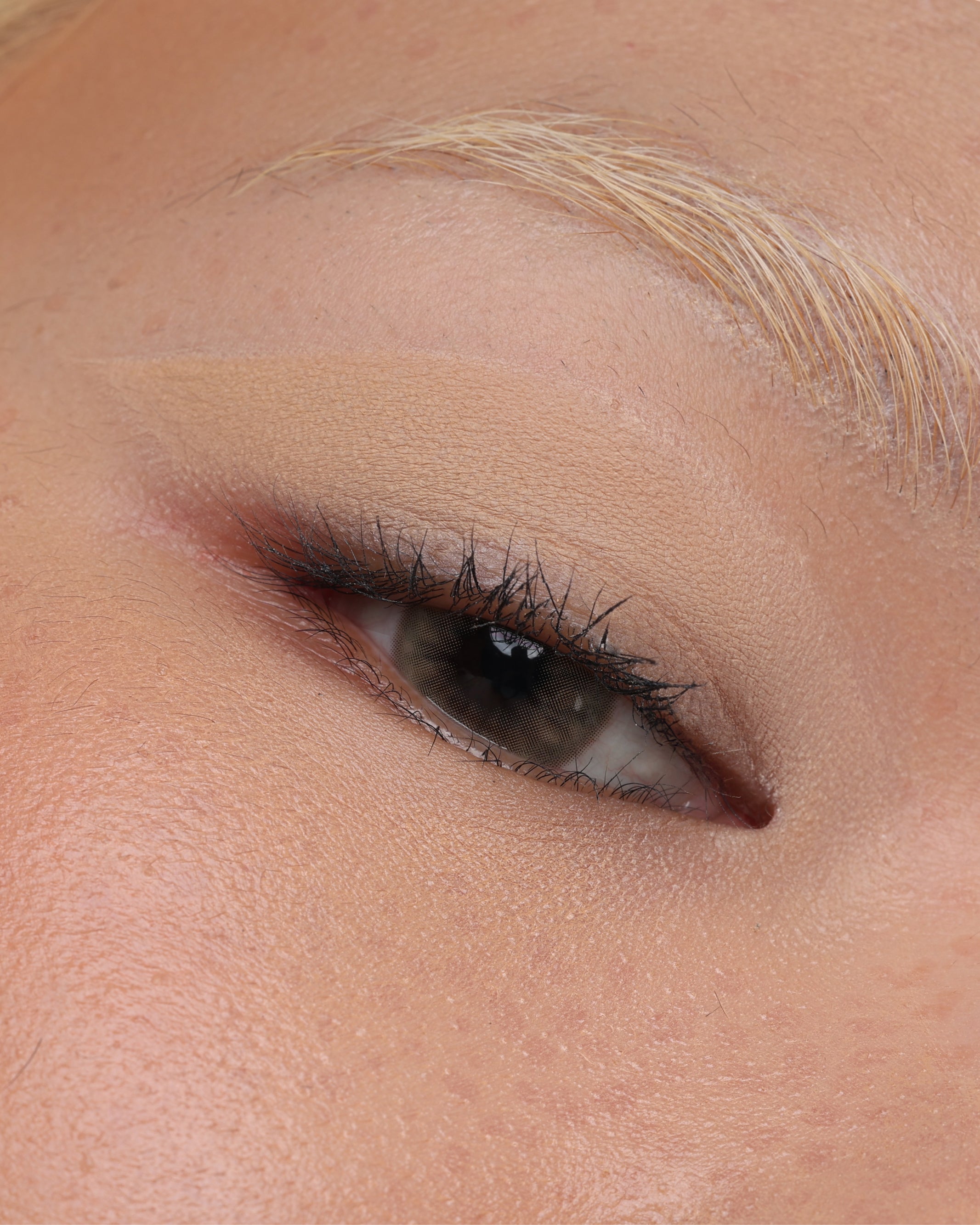 PRESSED_SHADOW_SINGLE_MATTE_SUBDUE_2.jpg