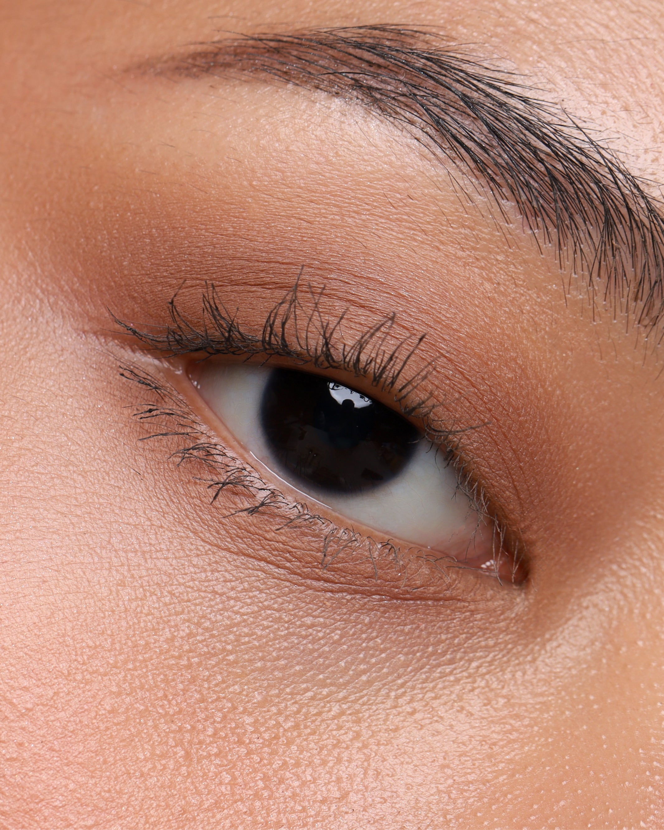 PRESSED_SHADOW_SINGLE_MATTE_TRENCH_2.jpg