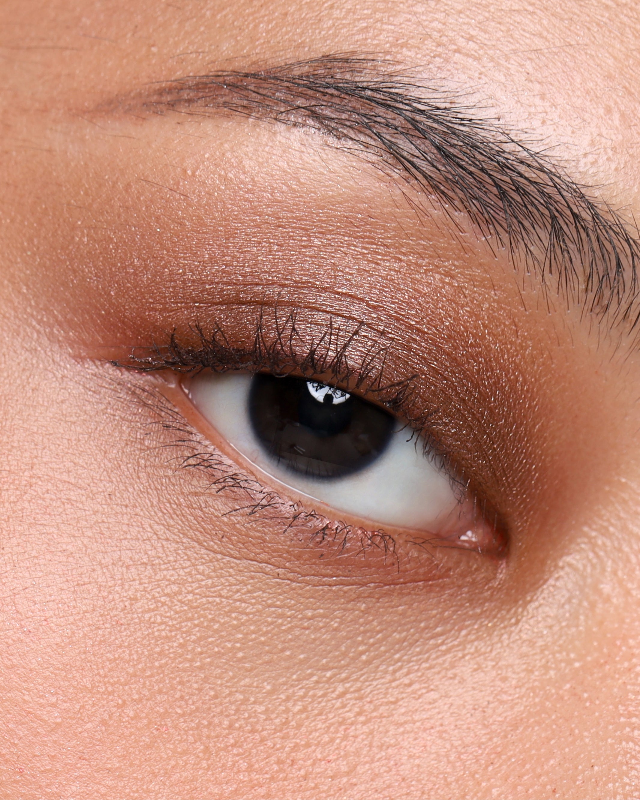 PRESSED_SHADOW_SINGLE_SHIMMER_DUNE_2.jpg