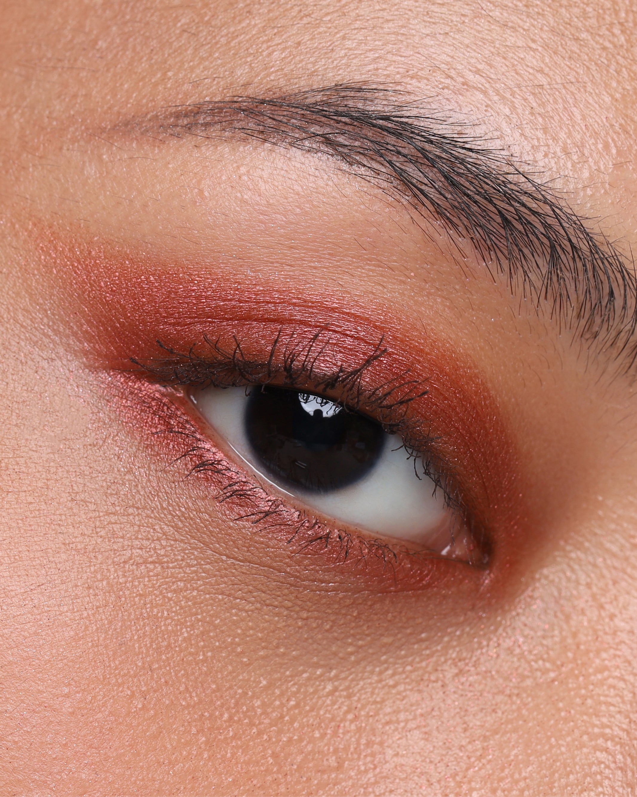 PRESSED_SHADOW_SINGLE_SHIMMER_FEVER_2.jpg