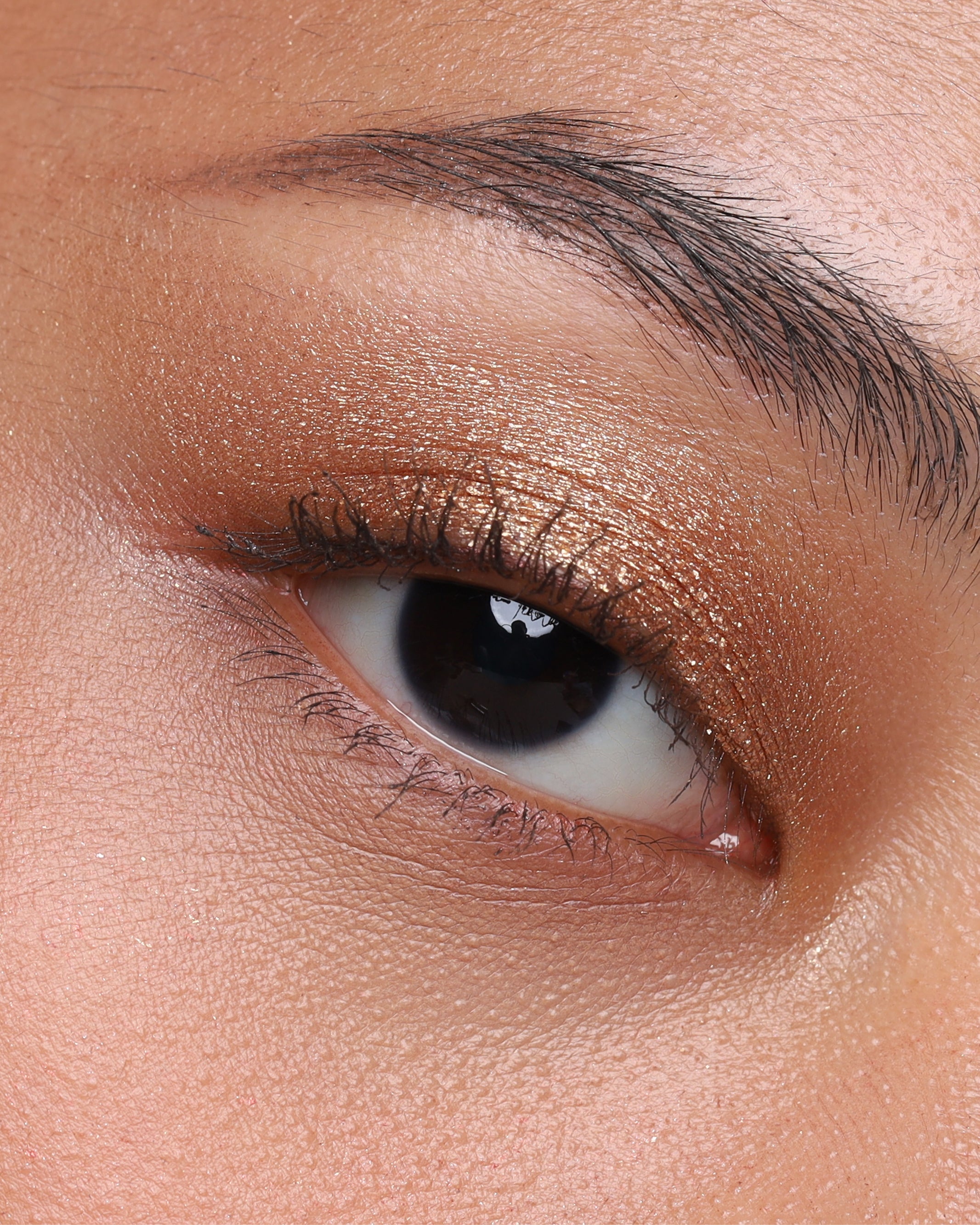PRESSED_SHADOW_SINGLE_SHIMMER_PHARAOH_2.jpg
