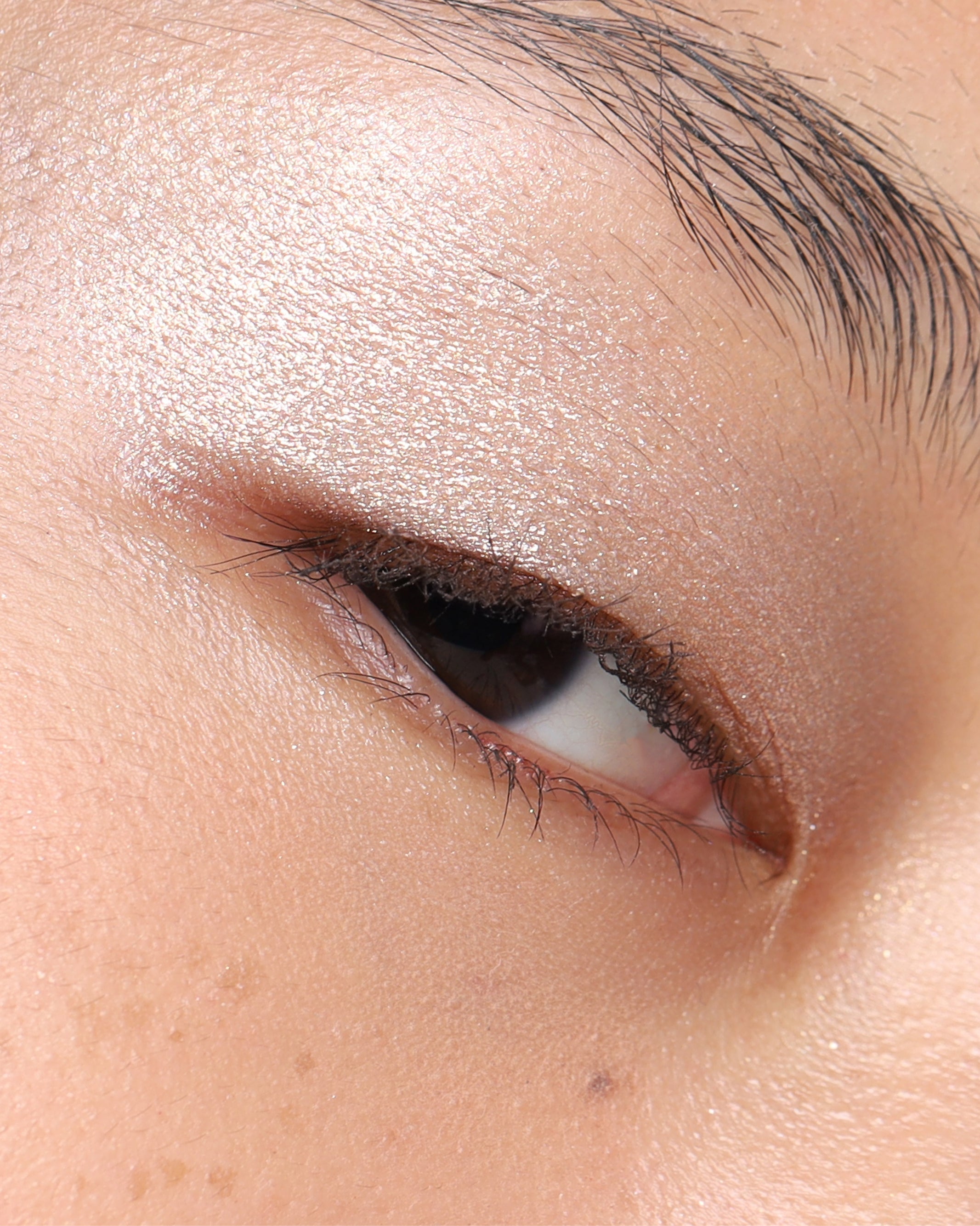 PRESSED_SHADOW_SINGLE_SHIMMER_SIREN_2.jpg